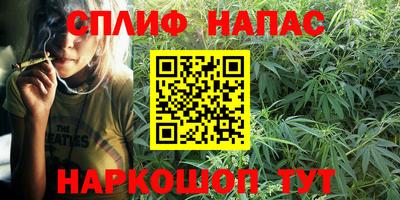 шишки Донской
