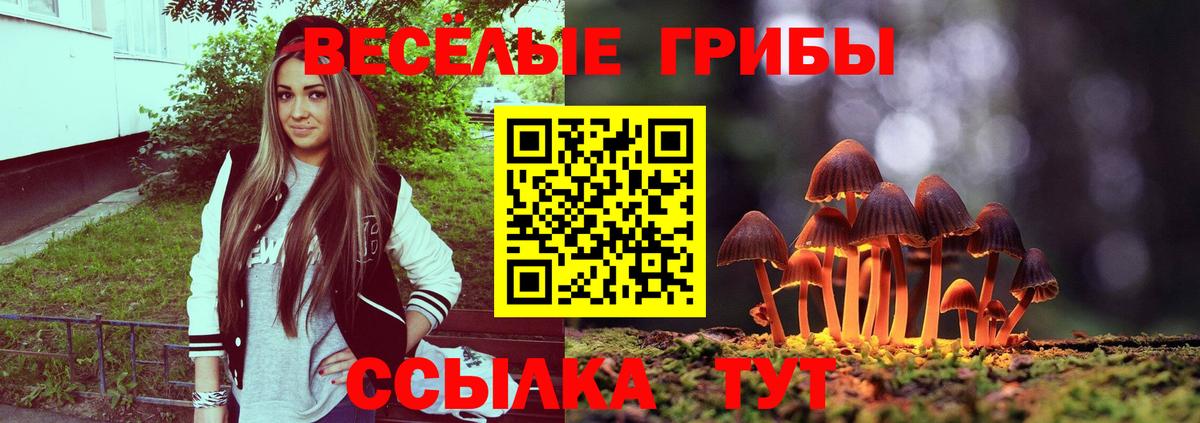 Галлюциногенные грибы прущие грибы Лесосибирск