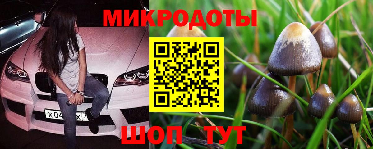 Галлюциногенные грибы прущие грибы  Вход с VPN  Лесосибирск  Галлюциногенные грибы GOLDEN TEACHER 