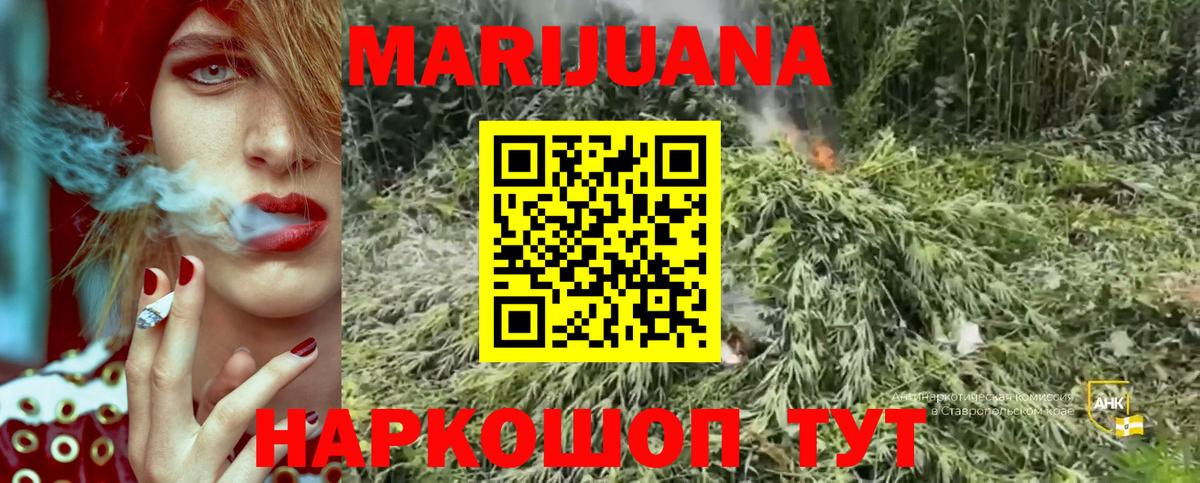 Бошки марихуана THC 21% Лесосибирск